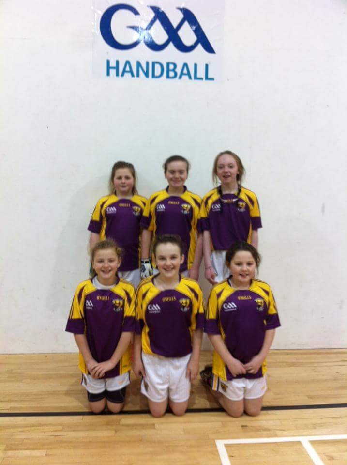 The brilliant Wexford girls who done themselves and their schools proud at yesterday's Leinster Cumann na mBunscoil finals at St. Brigids in Dublin. 