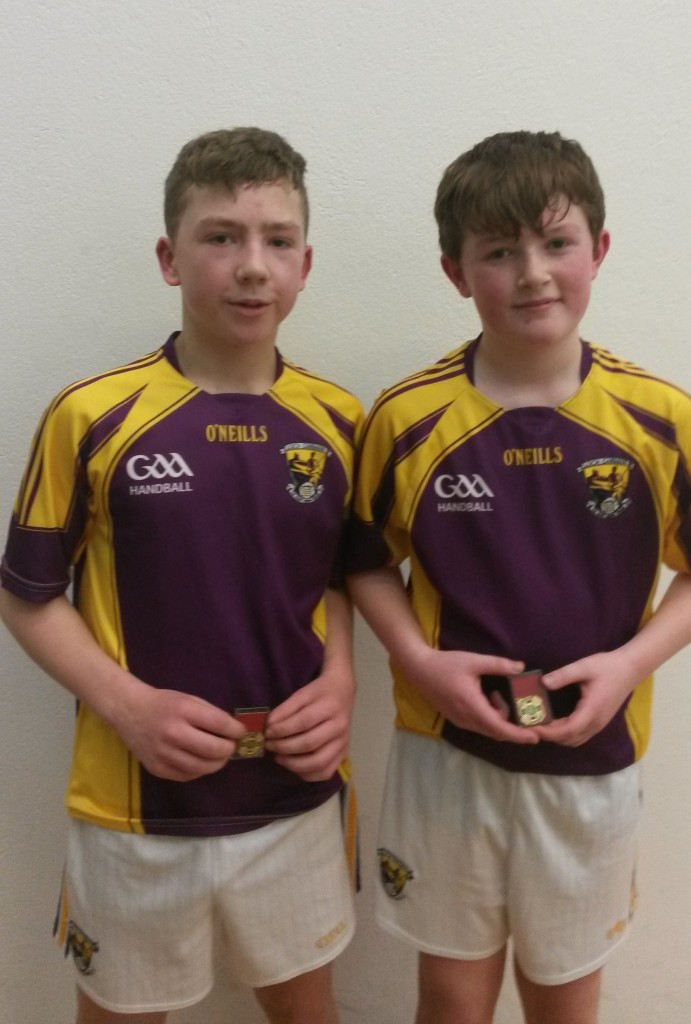 Josh Kavanagh & Diarmuid Moore who performed brilliantly against Kilkenny to capture the Leinster BU14D 40x20 championship at Cullohill yesterday. 